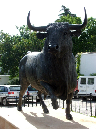 A bikaviadal arénája elõtt - In front of the bull-ring
