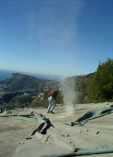 Dust devil