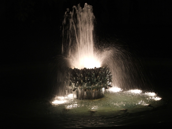 A fountain of Chams-Elyses