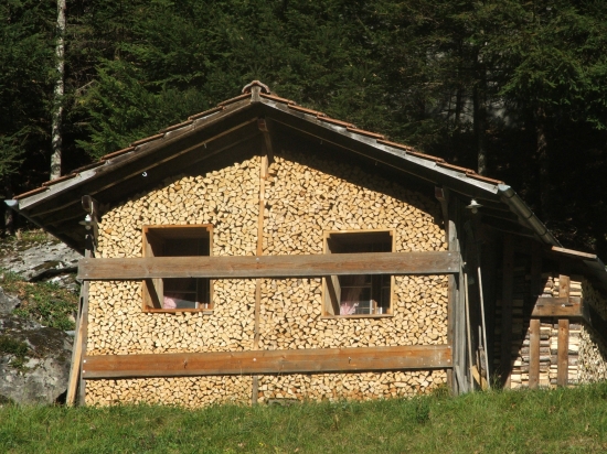 Special wood house